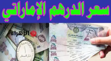 تحركات جديدة الآن.. أسعار الدرهم الإماراتي اليوم مقابل الجنيه المصري 28 أبريل 2026 للبيع والشراء